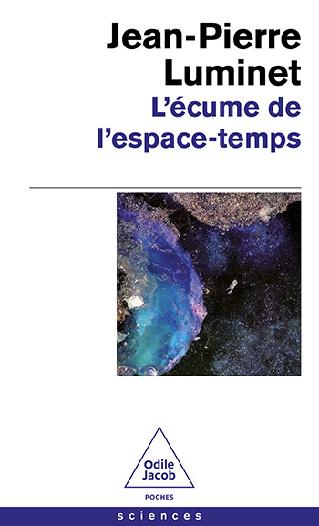 Écume de l'espace-temps (L')