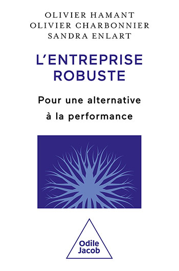 Entreprise robuste (L') - Pour une alternative à la performance