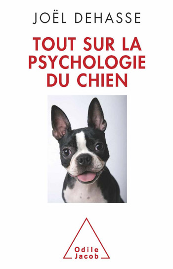 Everything About Dog Psychology