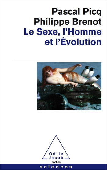 Sexuality, Human Being, Evolution