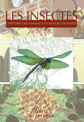 Insectes (Les) - L’Histoire des animaux en bandes dessinées