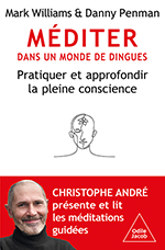 Méditer dans un monde de dingues - Pratiquer et approfondir la pleine conscience